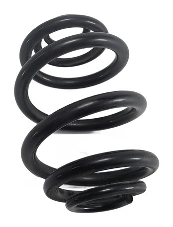 Thumbnail 4: 1999-2006 BMW 3 SERIES (E46) REAR LEFT & RIGHT STANDARD COIL SPRING SET 2 (RWD)