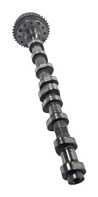 12-18 BMW 228i 320i 328i 428i 528i X1 X3 X5 2.0L N20 N26 EXHAUST CAMSHAFT & GEAR
